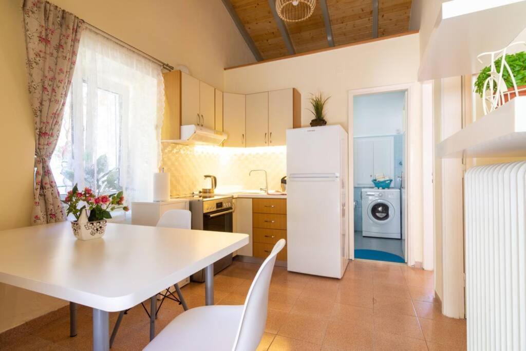 Thanos Cottage Vlachopoulátika Zewnętrze zdjęcie